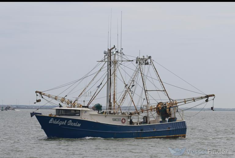 BRIDGOT DENISE photo