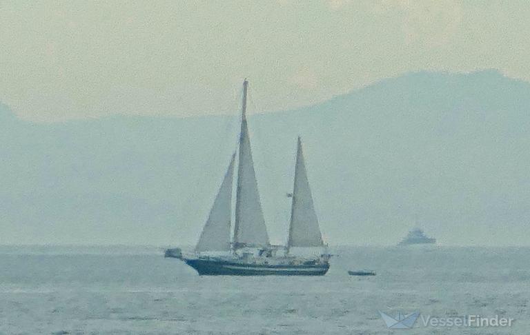 SCINTILLA photo