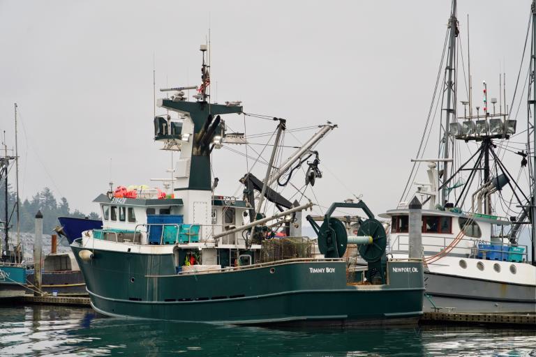 TIMMY BOY, Fishing vessel - Details and current position - MMSI ...