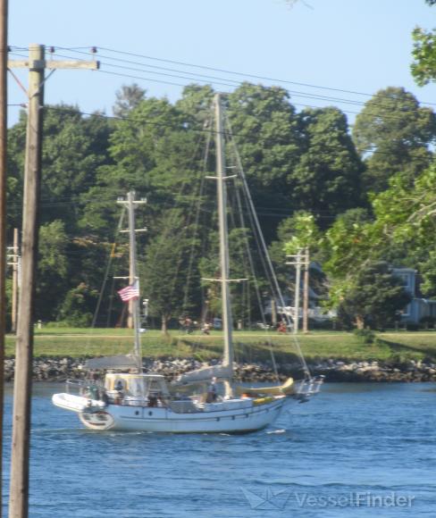 COCKTAILS DREAMS photo