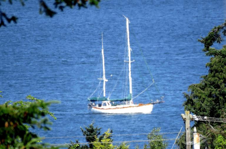 CALYPSO photo