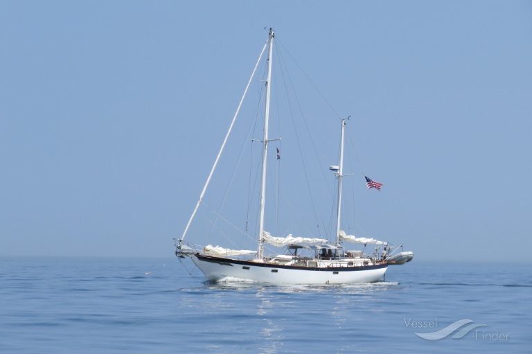 TOMORROWS DAWN photo