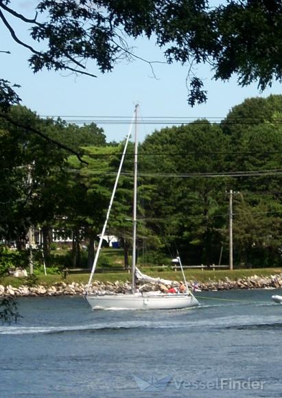SY ROCKET J SQUIRREL photo