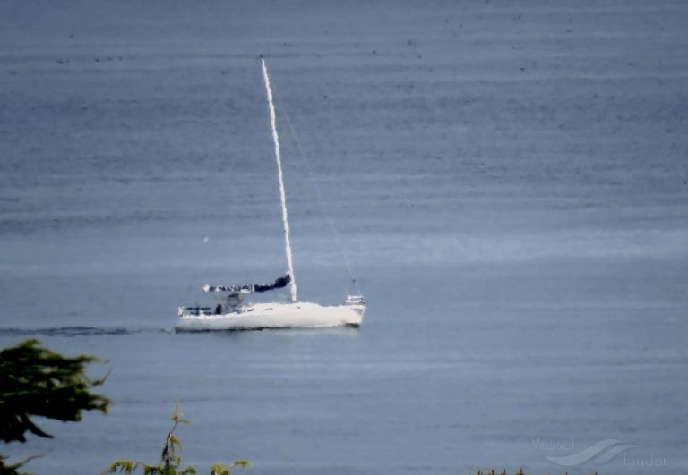 SHEARWATER photo