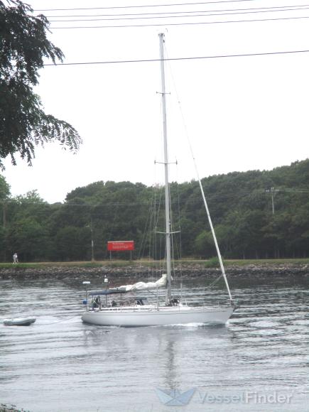 BLUE PIGEON TOO photo