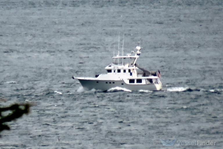 PENALTY BOX III photo