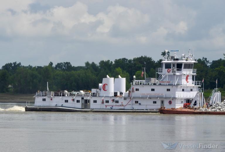 EUGENIE P JONES photo