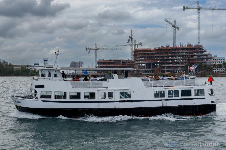 MICHAEL B MELI photo