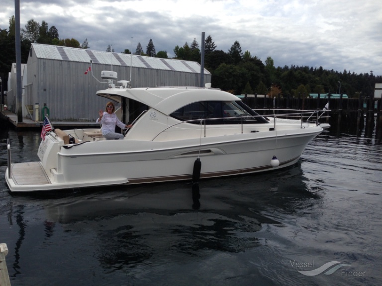 MY BUTTON DOWN photo