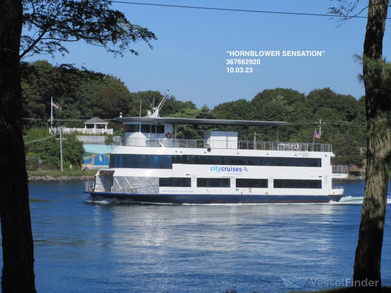 HORNBLOWER SENSATION photo
