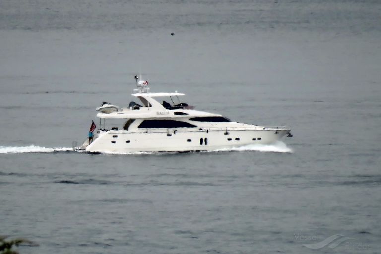 SALUS photo
