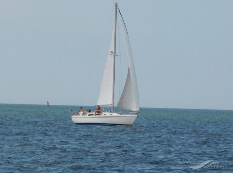 KNOT FLYING photo