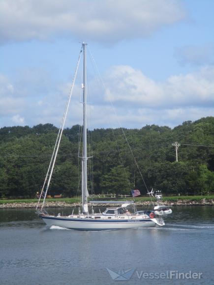 TENACIOUS photo