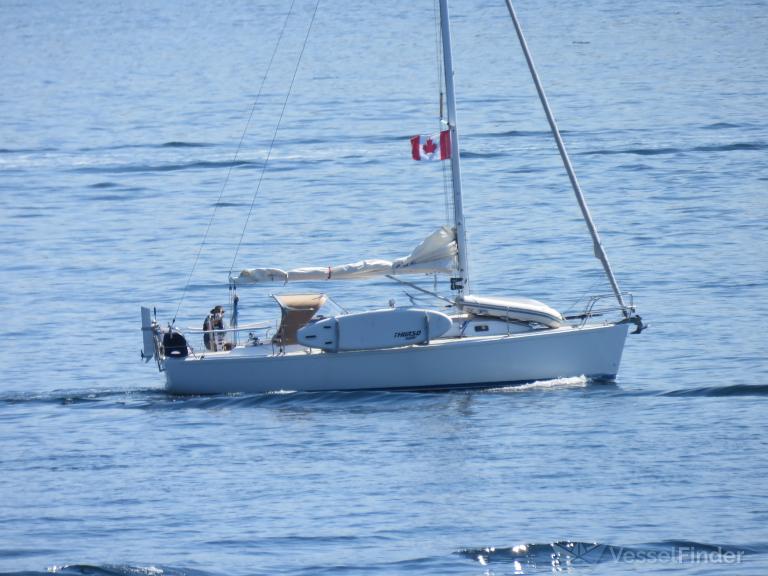 VOILA photo