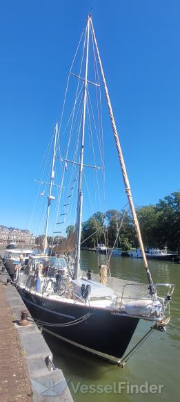 AT FIRST SIGHT photo