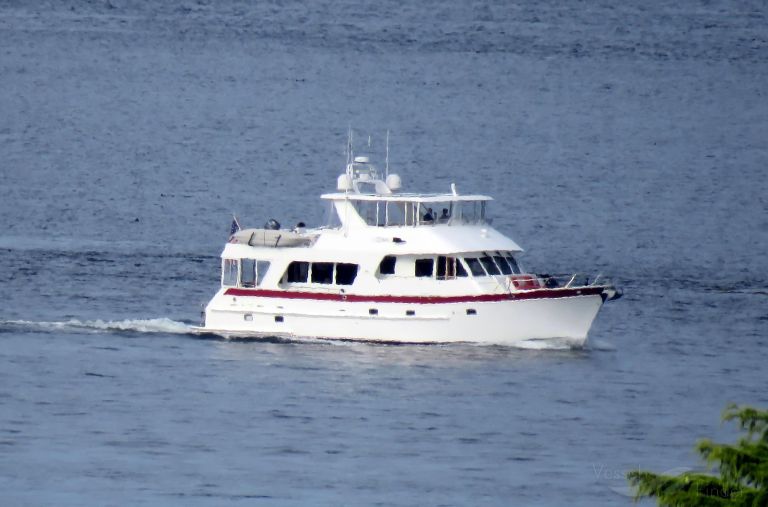 AVALON photo