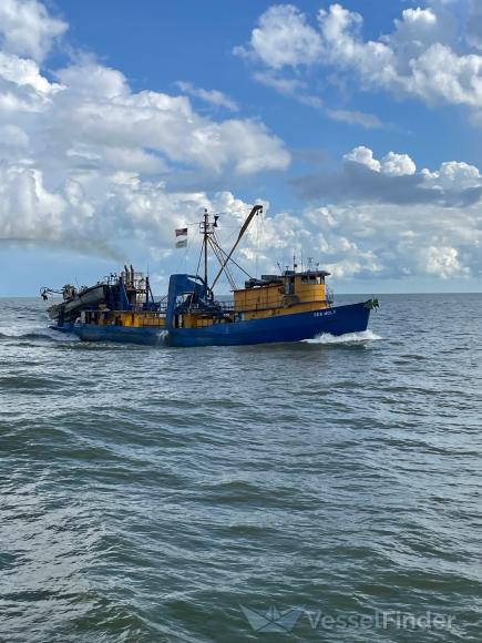 SEA WOLF, Fishing vessel - Details and current position - MMSI