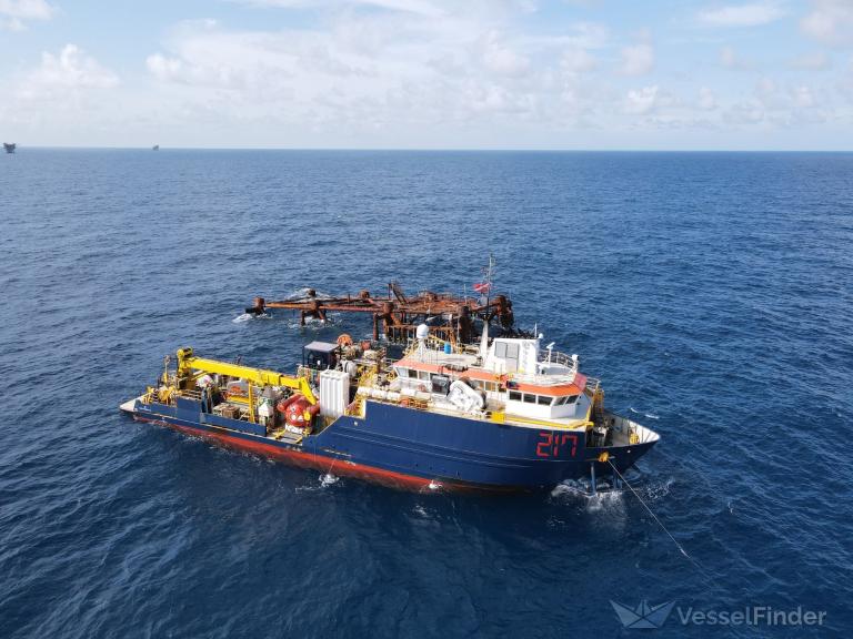 217, Diving ops - Details and current position - MMSI 367776370