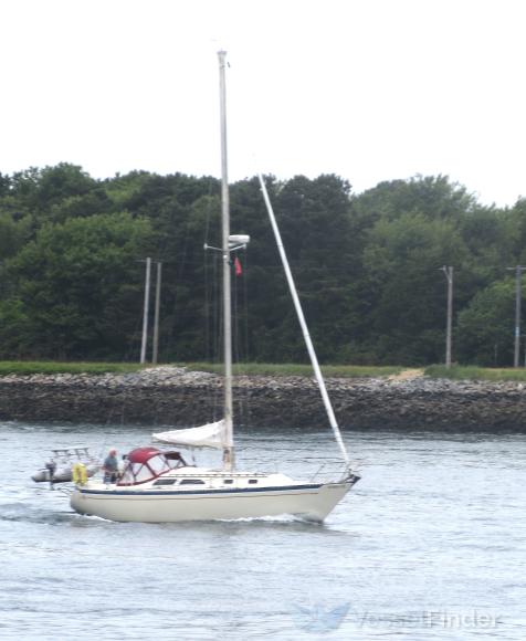 FOR PETES SAKE photo