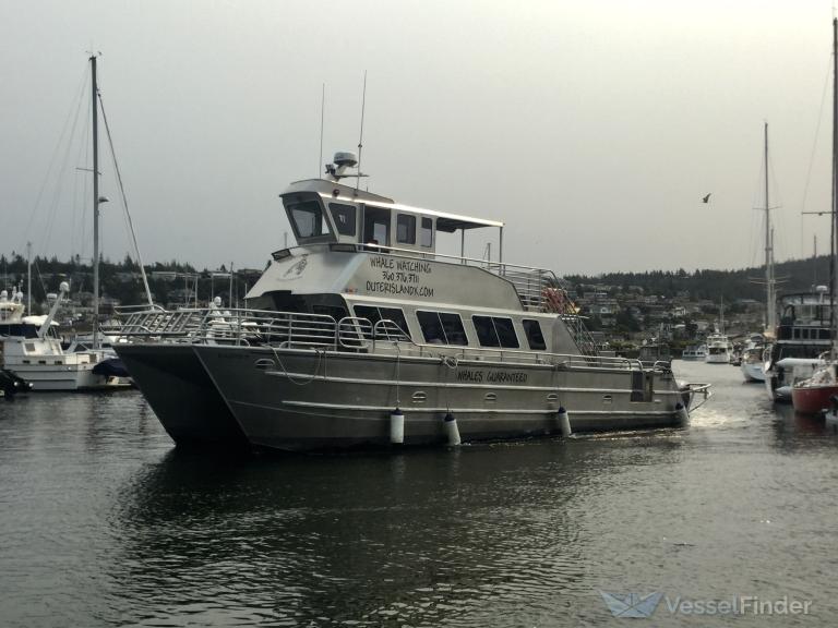 BLACKFISH IV photo