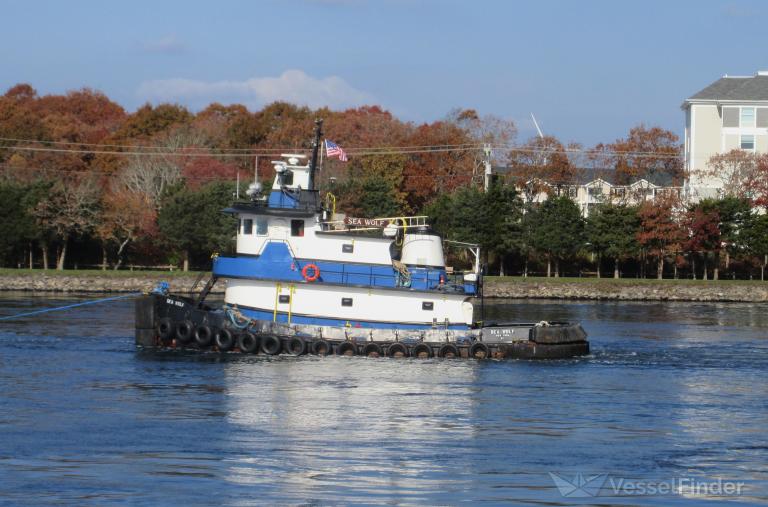 SEA WOLF photo