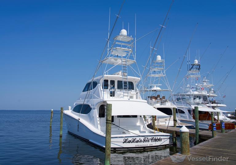 LALAS SIX CHICKS photo