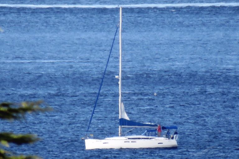 SEA DANCER photo