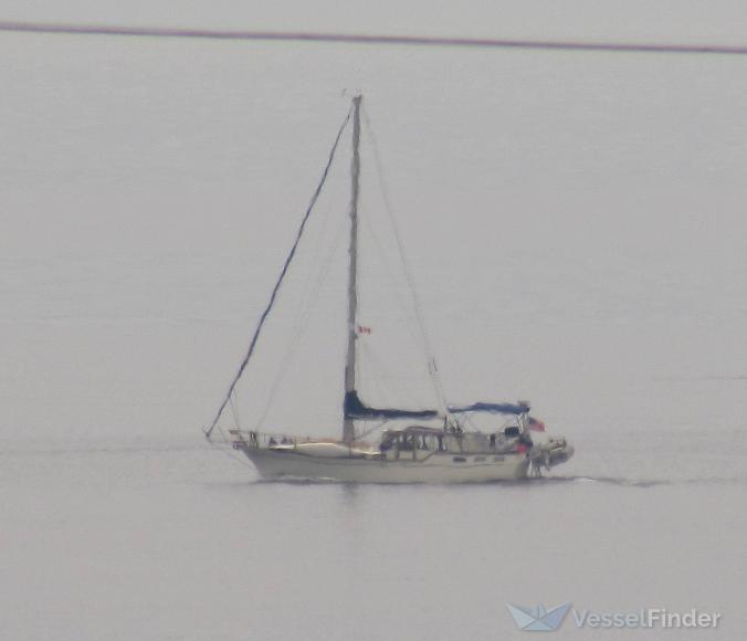 NOOTKA ROSE photo