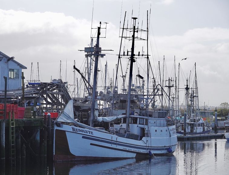 RESOLUTE, Fishing vessel Details and current position MMSI