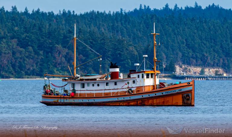 MV PELICAN photo