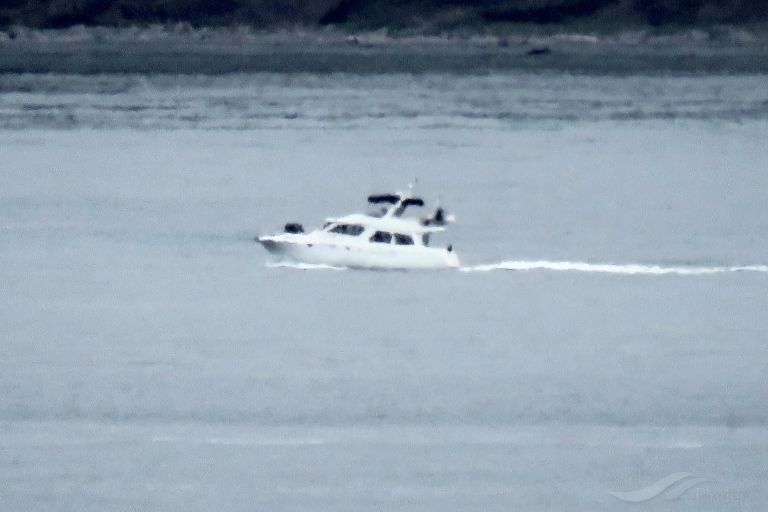 SEA LEVEL photo