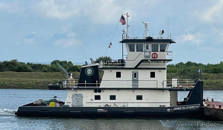 JANIS ELIZABETH photo