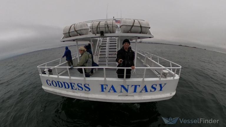 GODDESS FANTASY photo