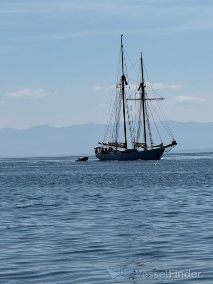 YAHARA photo