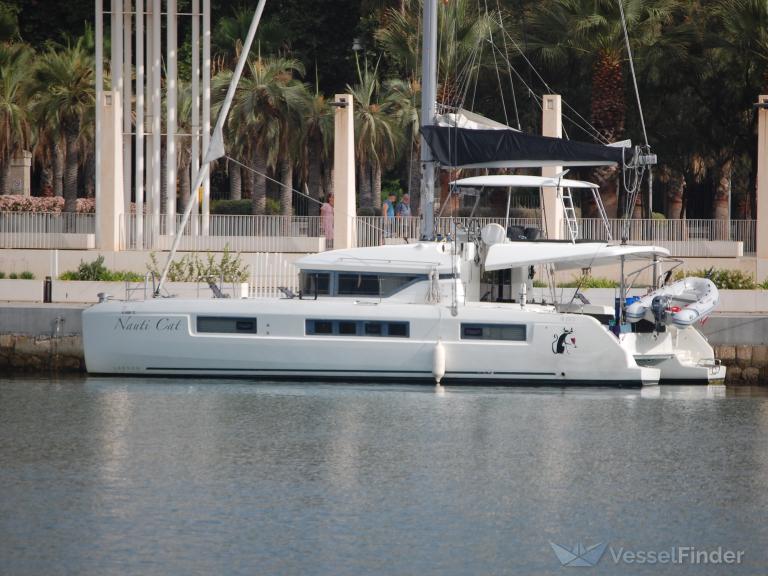 NAUTI CAT photo