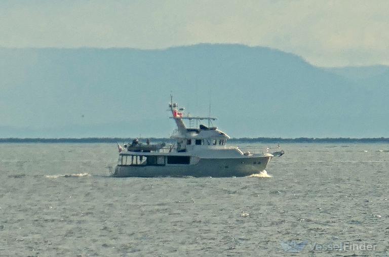 WAVELENGTH photo