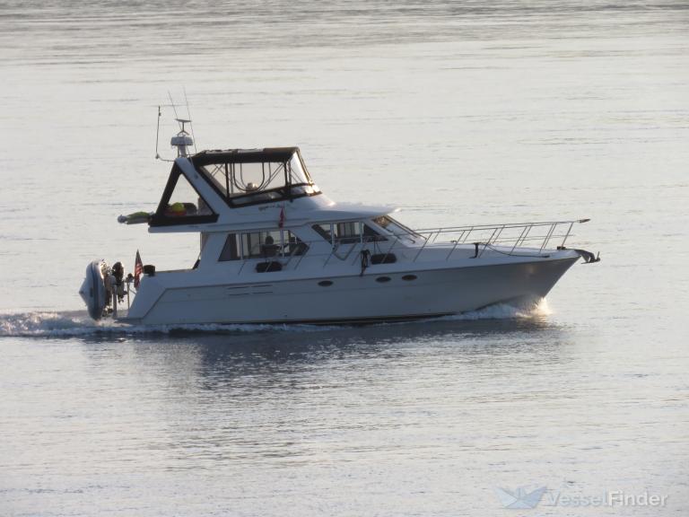 KEEPER OF THE STARS photo