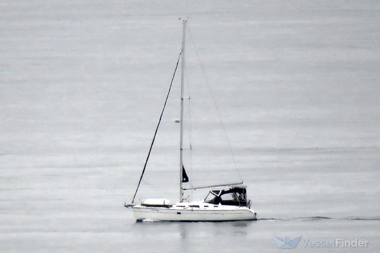 SEA MONKEY photo