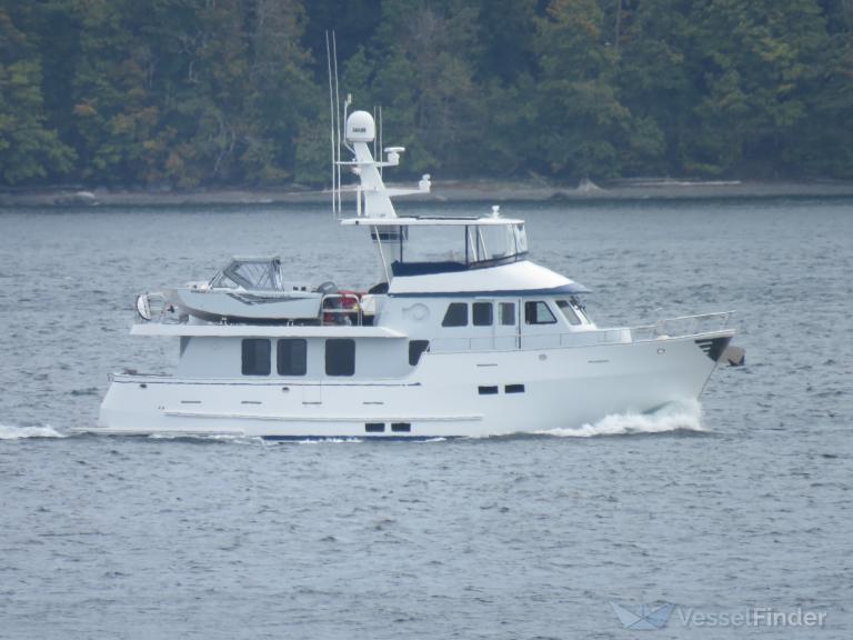 GALLIVANT photo
