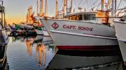 CAPT-SONNE