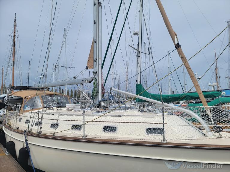 CATHARPIN BLUE photo