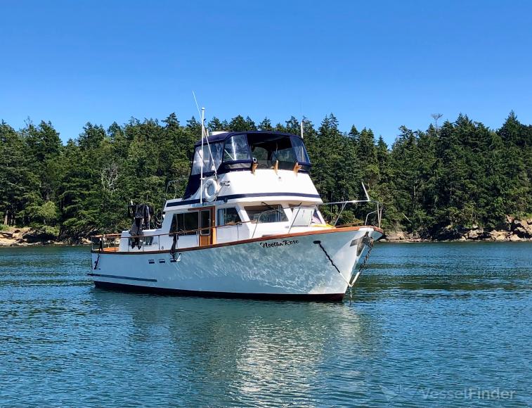 NOOTKA ROSE photo