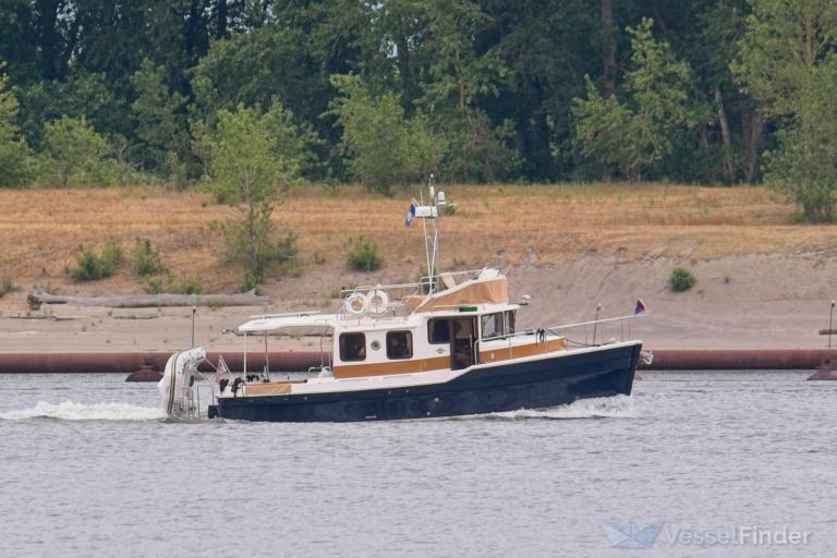 SEA DOG photo