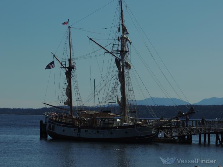 HAWAIIAN CHIEFTAIN photo