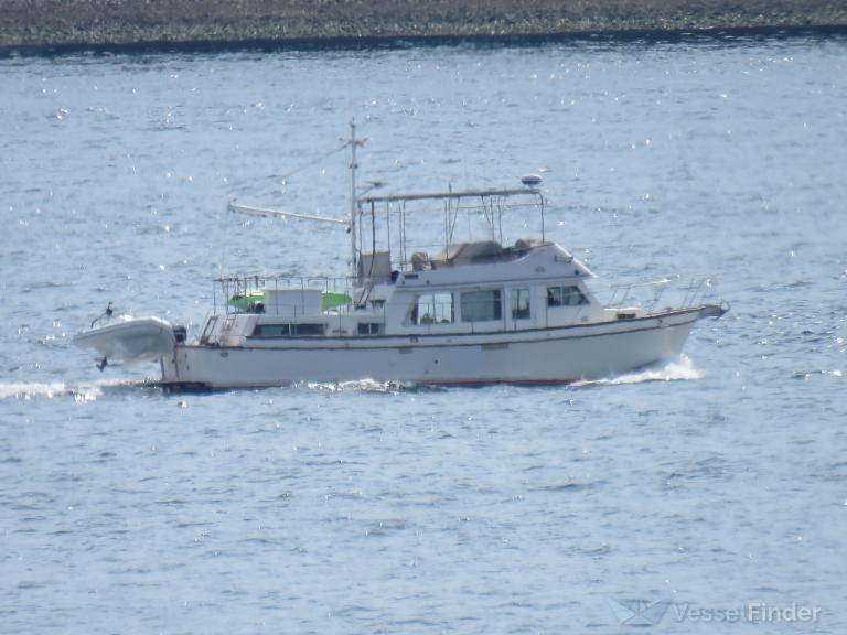 AVALON photo