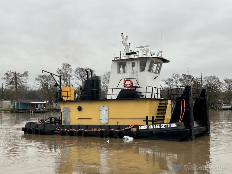 AUDRINA LEE SETTOON photo