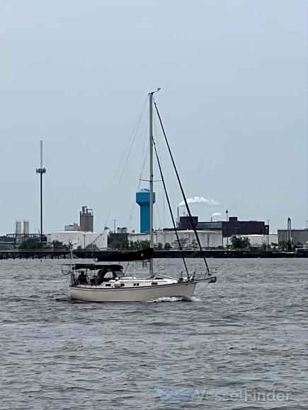 DOUBLE NATURAL photo