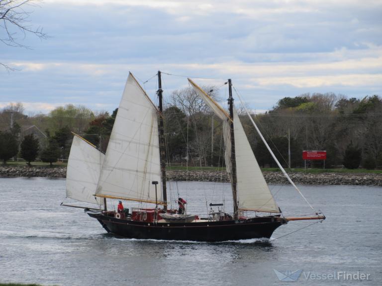 AMBERGRIS photo