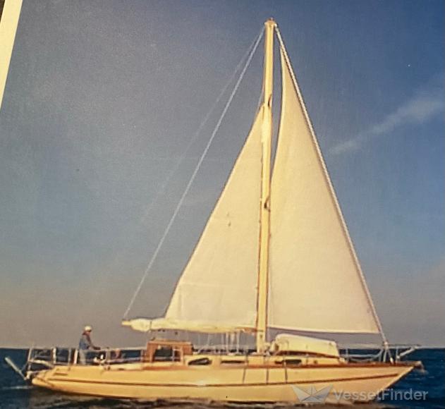 SV MOXIE photo