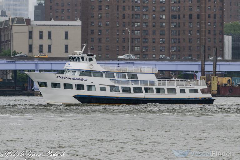 STAR OFTHE NORTHEAST photo